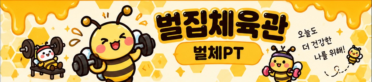 벌집체육관 벌체PT